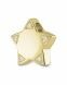 Yellow golden ashes pendant star with brilliant