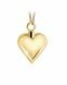 14k yellow gold ash pendant 'Heart'