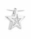 Ash pendant 14k. white gold 'Star' (13 diamonds / 0.11 crt.)