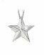 Silver cremation ashes jewel  'Star'