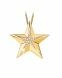 Ash jewel Golden Star with briljants 0.13 crt