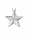 Ash jewel Star white gold with briljants 0.05 crt