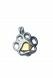 Stainless steel ashes pendant 'Pawprint' gold colored