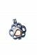 Stainless steel ashes pendant 'Pawprint' rose gold colored