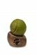 Pet cremation ashes urn 'Tennis ball with pawprint'