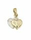 14 carat bicolor gold memorial pendant 'Double hearts'