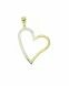 Memorial pendant 'Heart' 14 carat bicolor gold
