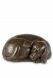 Bronze keepsake urn dog 'Rest peacefully'