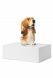 Pet urn 'Normand Basset hound'
