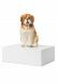 Pet urn 'St. Bernard'