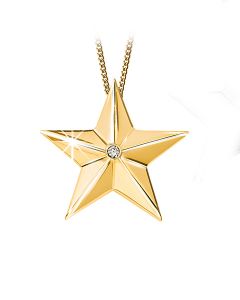 Ash jewel pendant Golden Star with briljants 0.05 crt