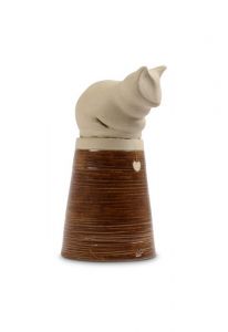 Cat urn for ashes "Grace" in several colors