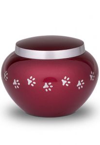 Red pet urn with silver colored pawprints | Small
