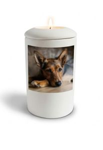 Handmade satin white dog urn with image, personalizable