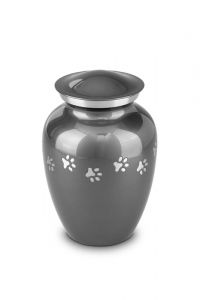 Pet cremation ashes urn 91.5 cu in