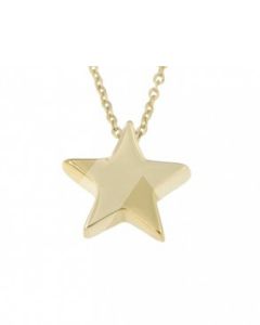 Symbol necklace 'Star' 14ct yellow gold